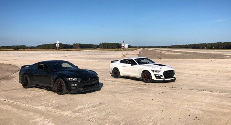 2020 GT500 Black and White Cars.jpg
