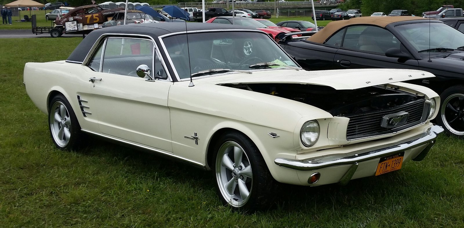 66 Mustang.jpg
