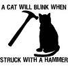 A_Cat_Will_Blink_When_Struck_With_A.jpg