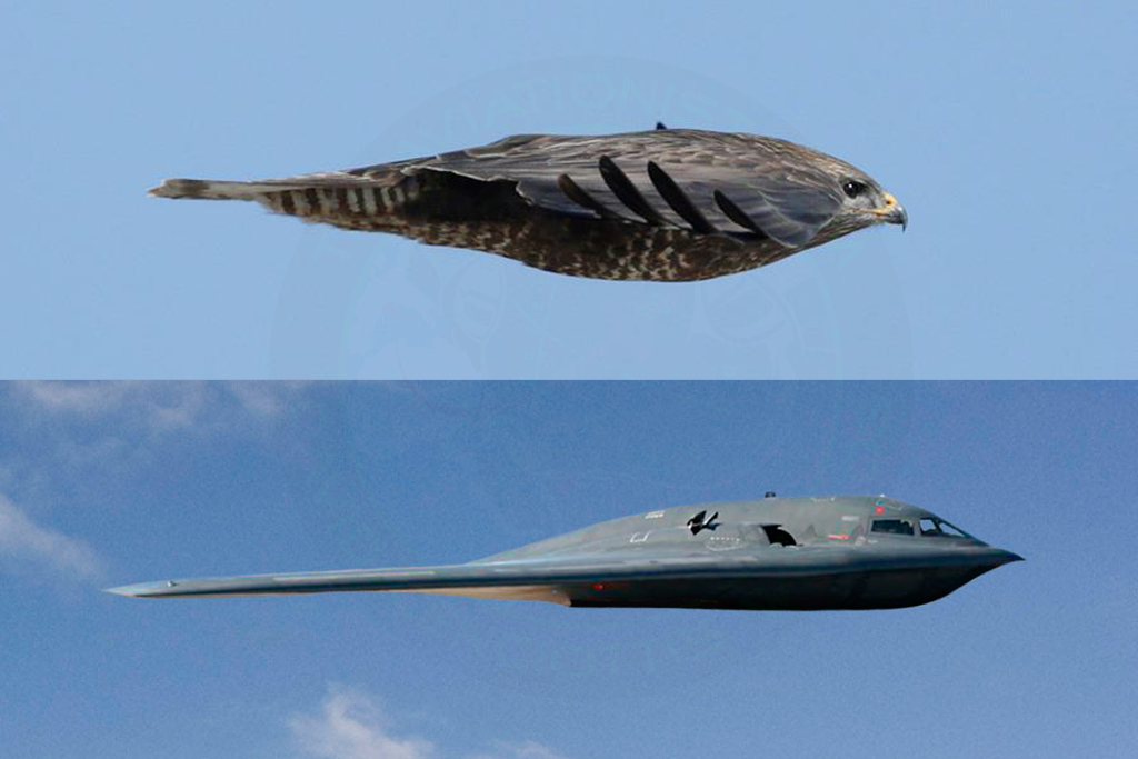 B-2-by-morther-nature-comparison.jpg