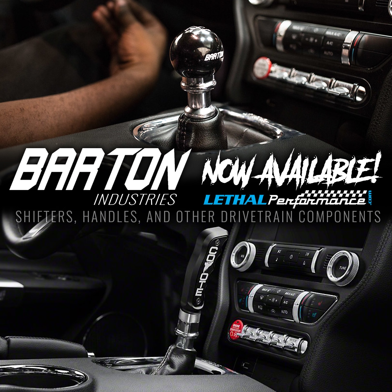 barton now avail 4.jpg