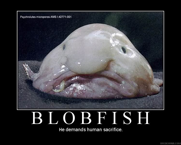 Blobfish.jpg