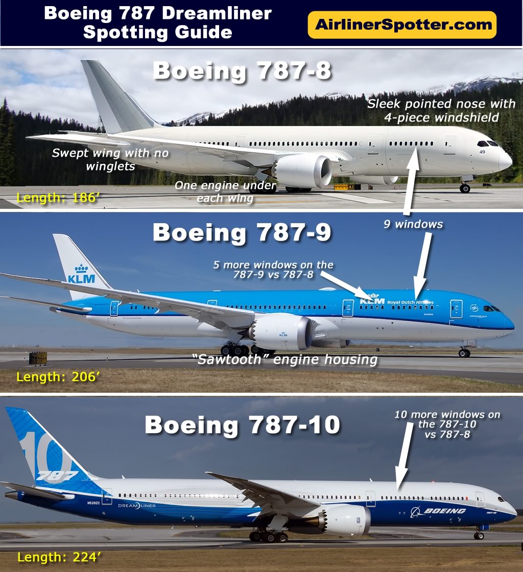 boeing-787-8-and-787-9-and-787-10-side-by-side-comparison.jpg