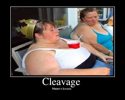 Cleavage.jpg