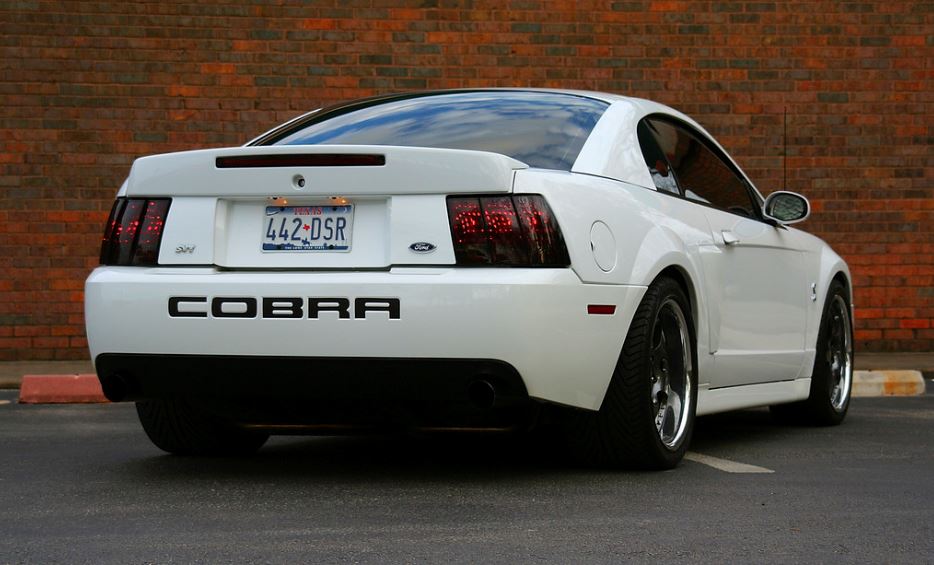 Cobra 15.JPG