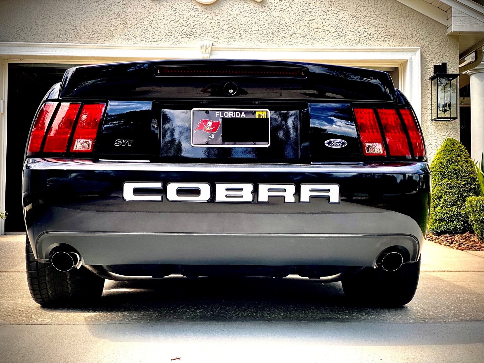 Cobra 2.jpg
