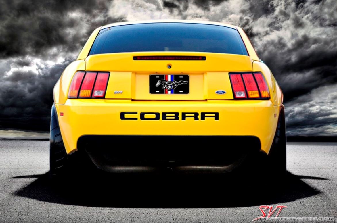 Cobra 24.JPG