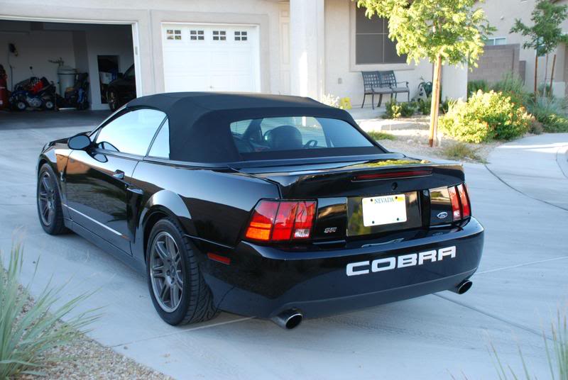 Cobra-lowered-6.jpg