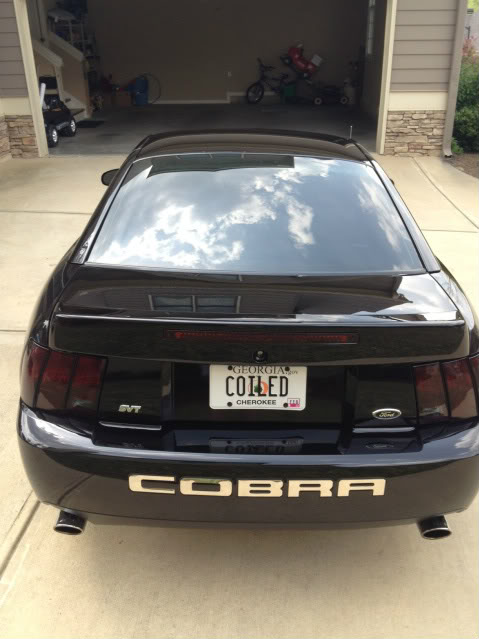 Cobra-Rear1.jpg