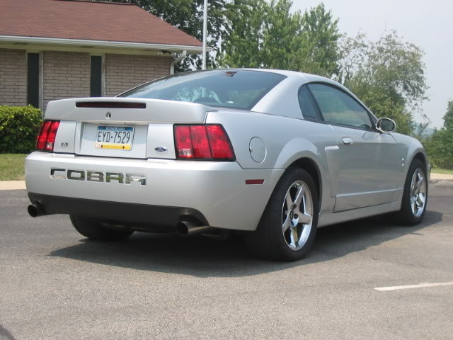 Cobra006.jpg