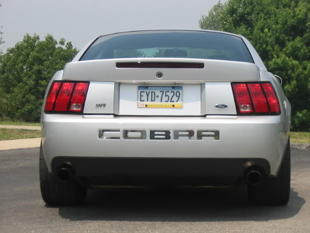 Cobra007.jpg