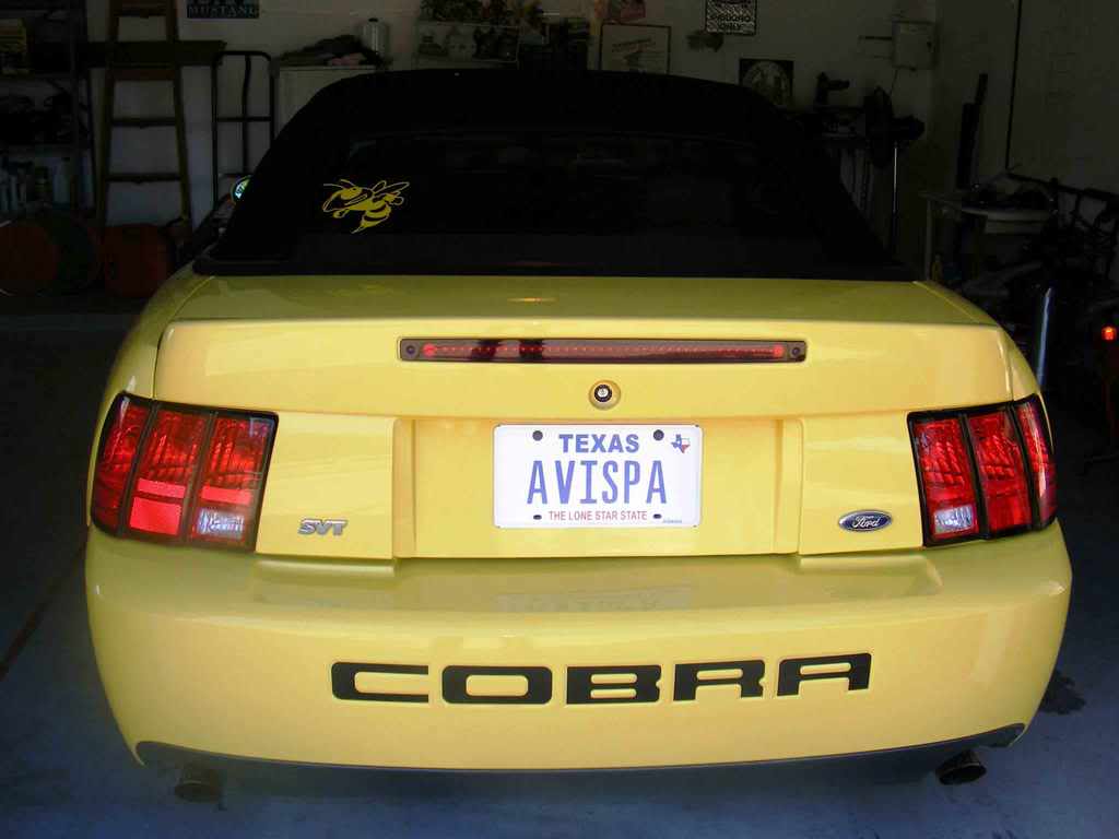 Cobra1.jpg