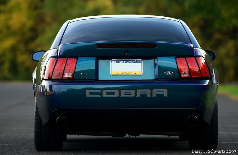 Cobra6.jpg