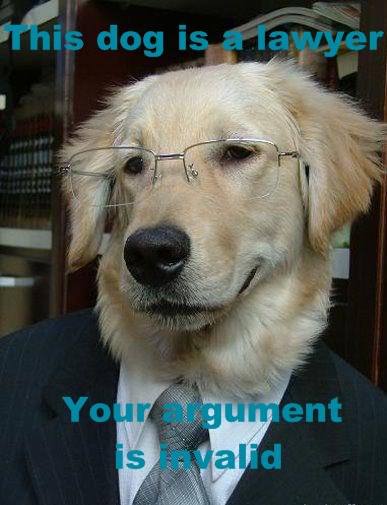 dog20is20a20lawyer20-20your20argument20is20invalid.jpg