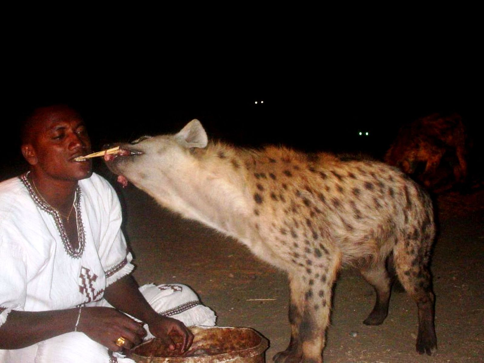 eastern-hyena-feeding-site-harar-5.jpg