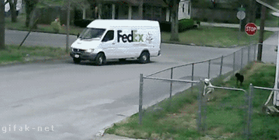 funny-gifs-Fedex-is-not-what-it-used-to-be.gif