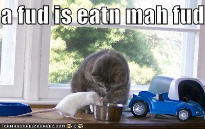 funny-pictures-cat-rat-food.jpg