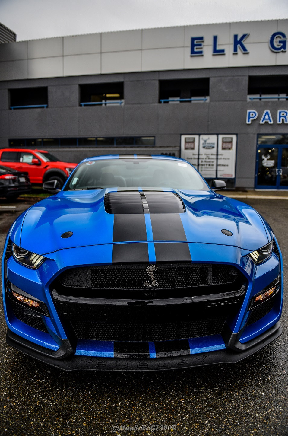 GT500-Delivery-8-of-10.jpg