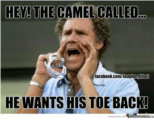 hey-the-camel-called-facebook-com-laughorgioul-he-wants-his-toe-back-2005862.png