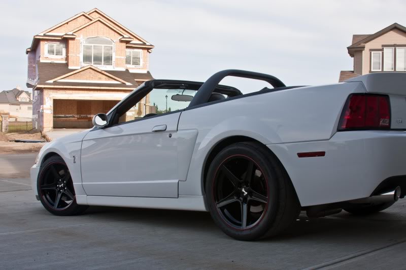 Terminator Mustang For Sale Canada
