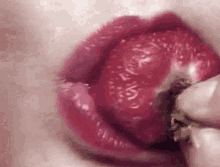 lips-strawberry.gif