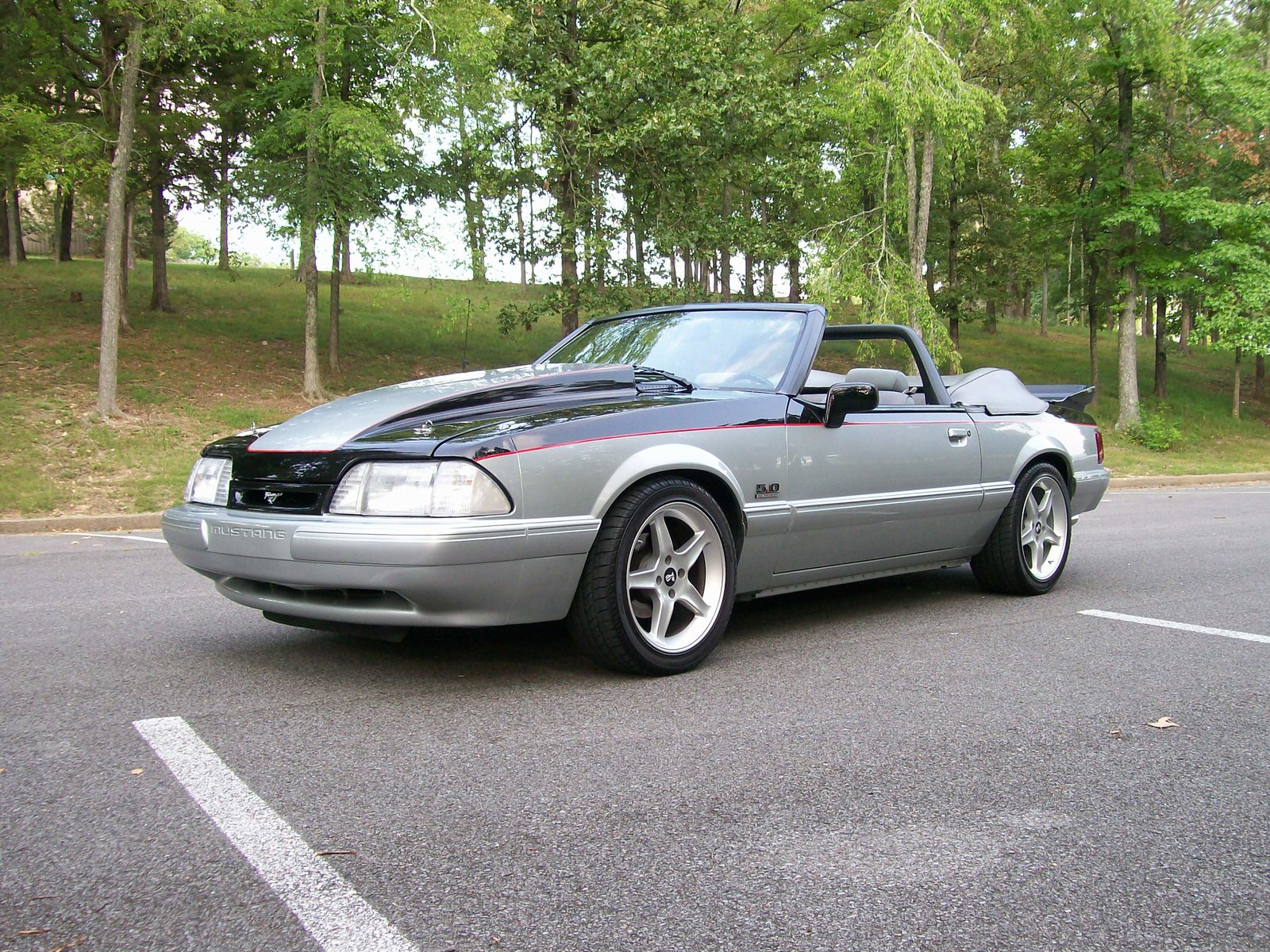 Mustang 011.jpg