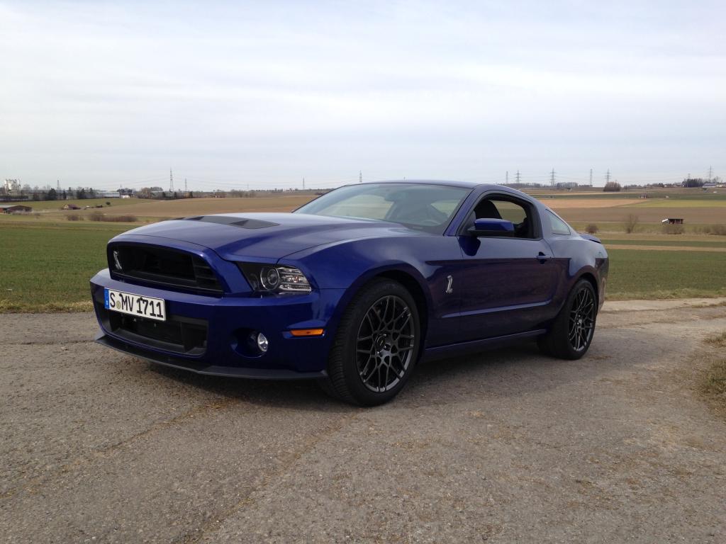 Mustang%20001.jpg