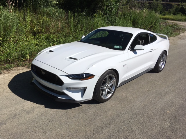 Mustang front.jpg