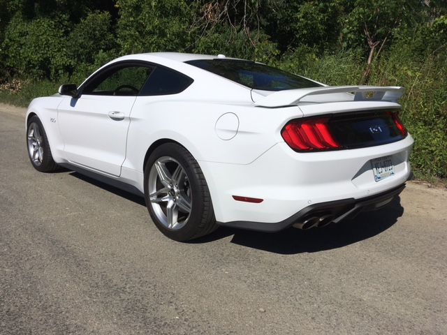 Mustang rear.jpg