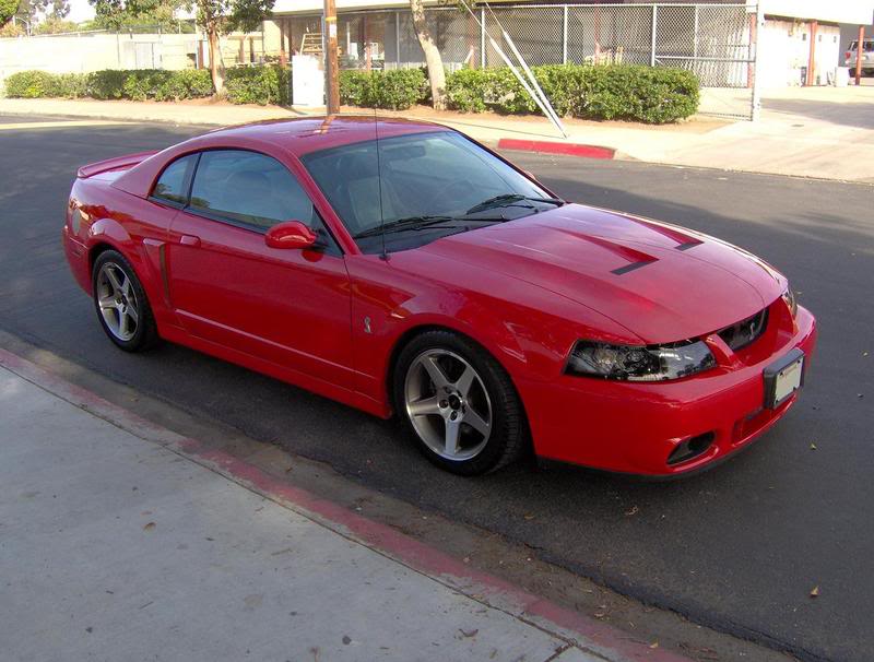 Mustang0005.jpg