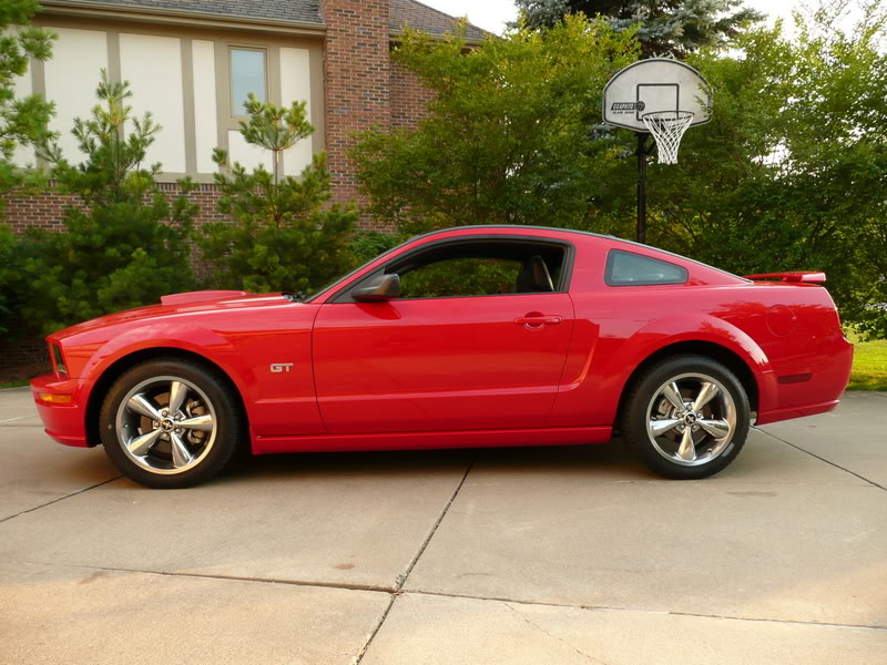 Mustang002.jpg