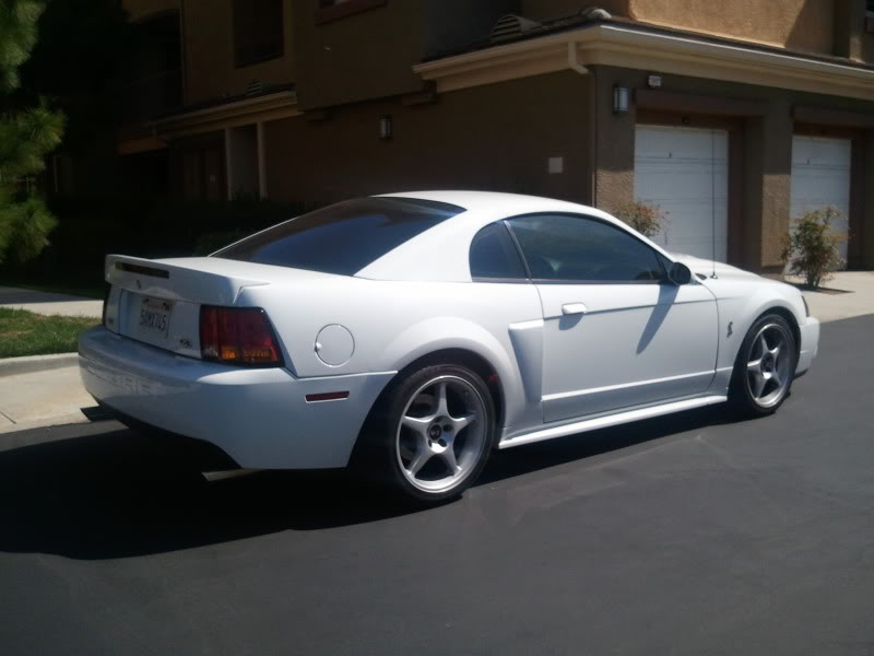 Mustang004.jpg