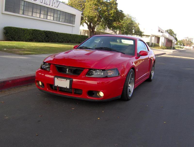Mustang007-1.jpg