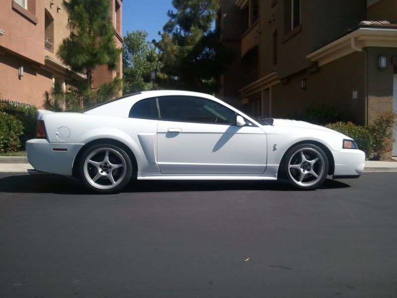 Mustang007.jpg