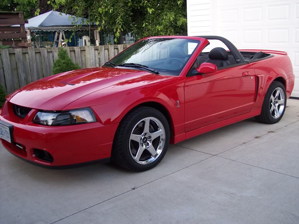 Mustang007.jpg