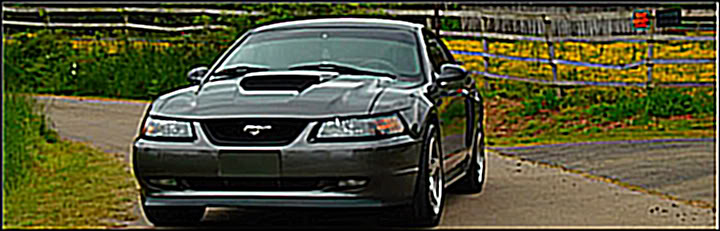 Mustang011.jpg