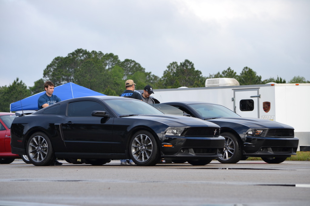 Mustangs2.jpg