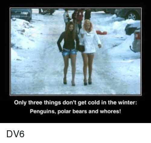 only-three-things-dont-get-cold-in-the-winter-penguins-11473485.png