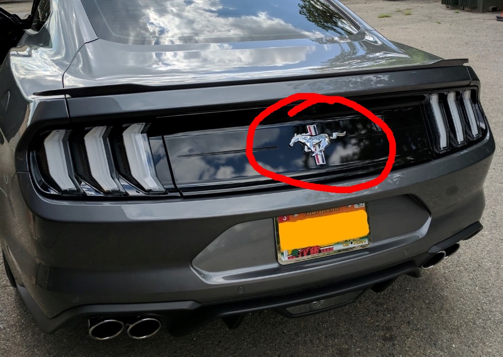 Pony Package trunk panel with emblem circled.jpg