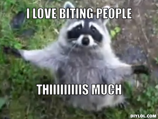 raccoon-hug-meme-generator-i-love-biting-people-thiiiiiiiiis-much-30155d_zpsm1f7mbjw.png