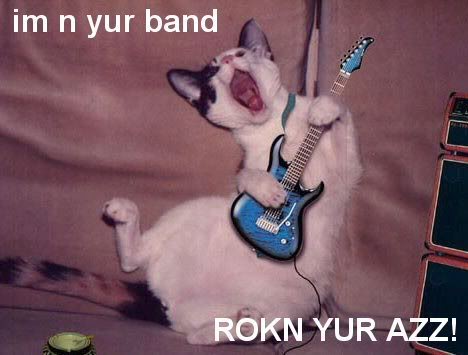 Rocke-katt.jpg