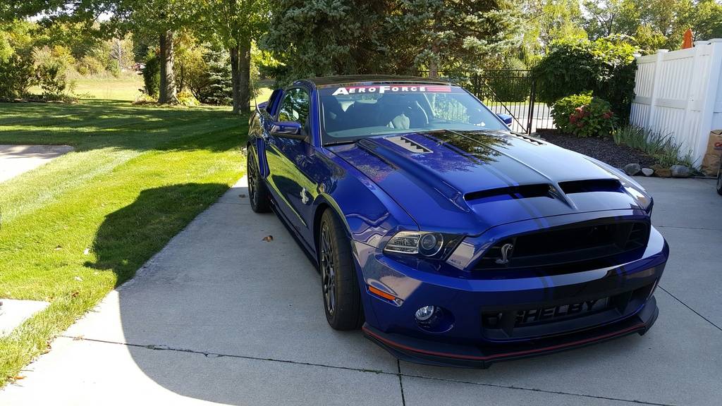 Shelby%20front.jpg