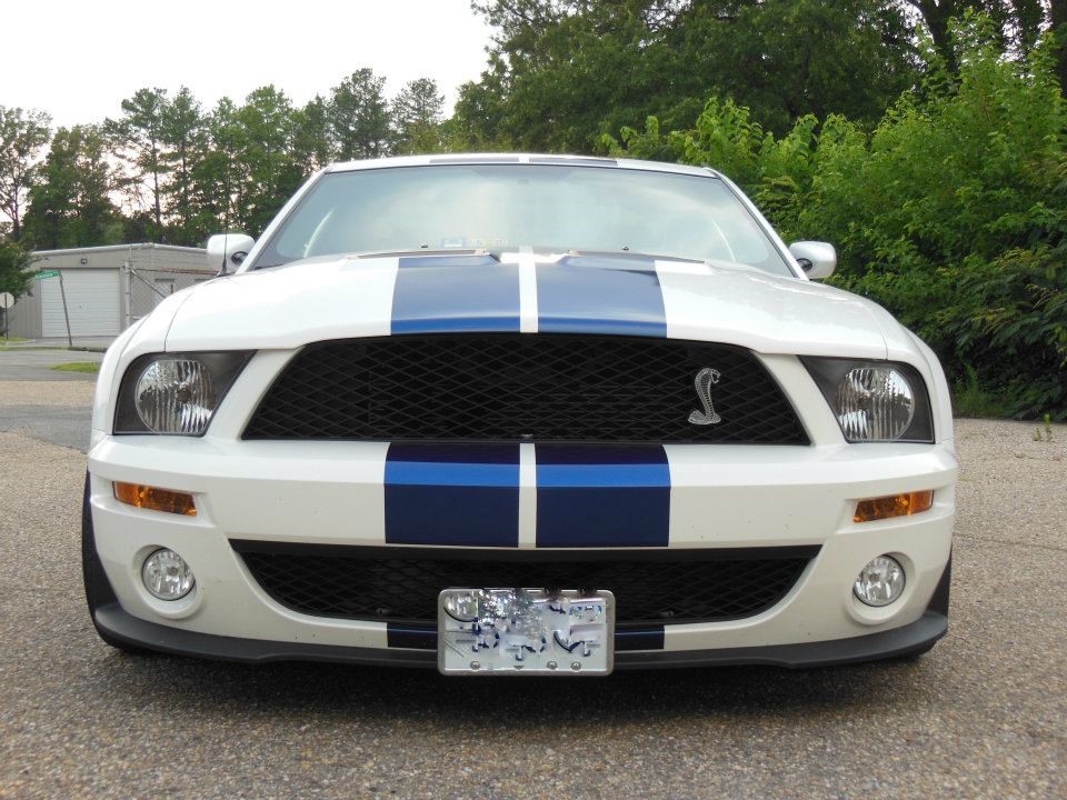 Shelby front view.jpg