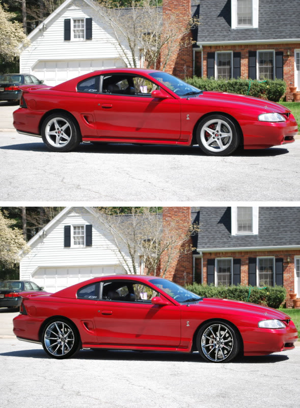Stang_with_Rims.jpg