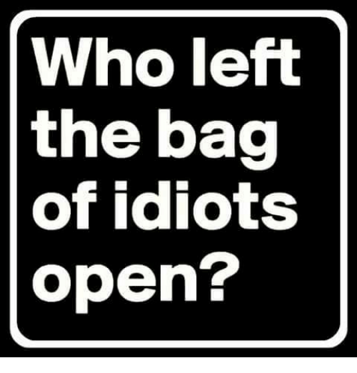 who-left-the-bag-of-idiots-open-6287243.png