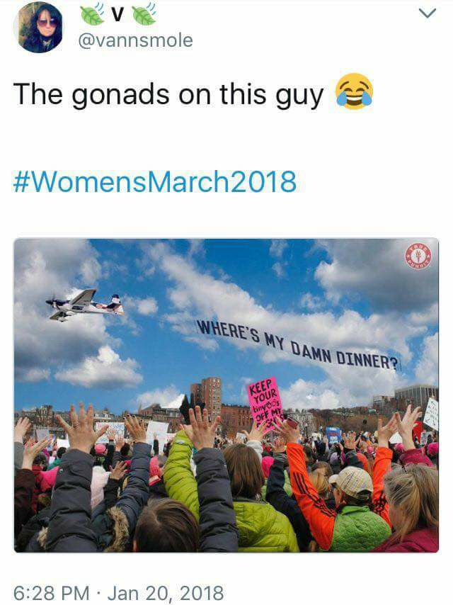 womens march.png