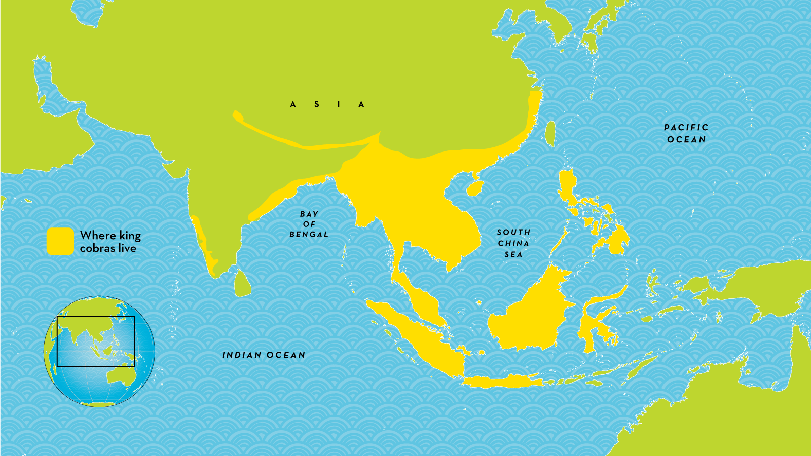 World-Map-Animal-Terr-King-cobra.ngsversion.1466004273454.png
