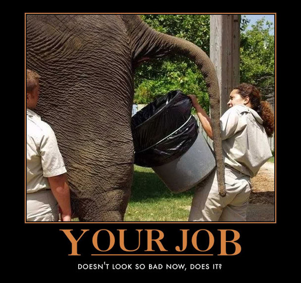 your-job-funny-motivational-poster_zpsb807a096.jpg