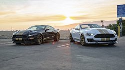 2019-Shelby-GT-Mustang-46.jpg