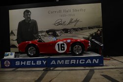 Shelby3.jpg